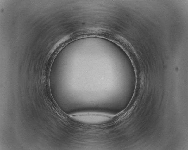 X0000083991210200703161614