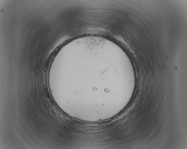 X0000083991211200703161614