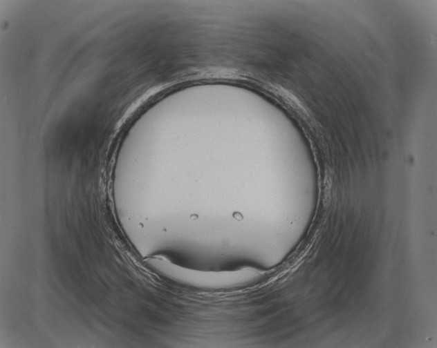 X0000083991212200703161614