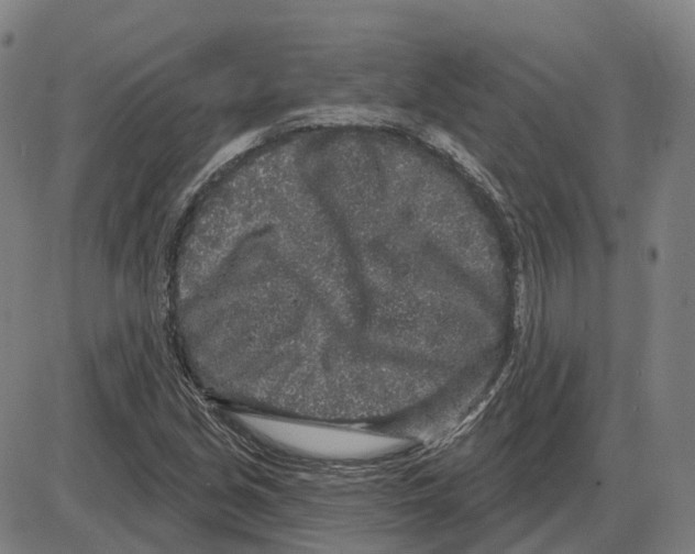 X0000083991213200703161614