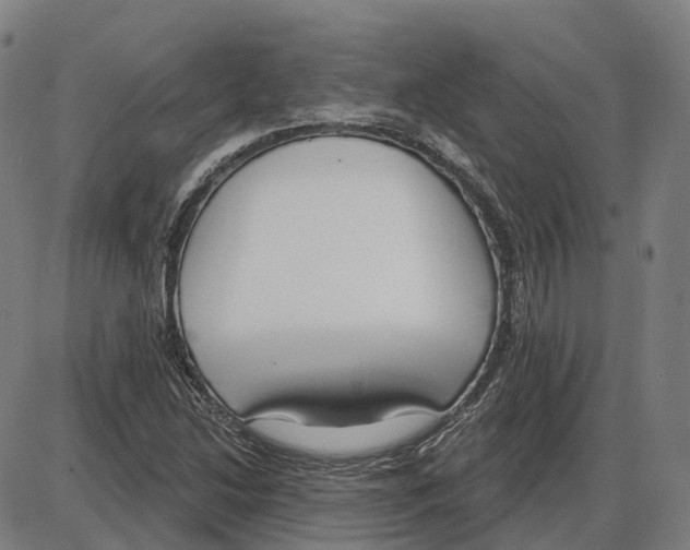 X0000083991214200703161614