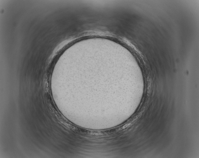 X0000083991215200703161614