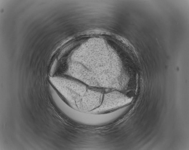 X0000083991217200703161614