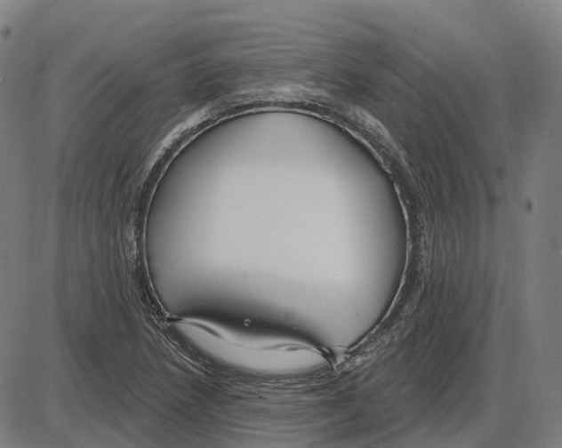 X0000083991218200703161614