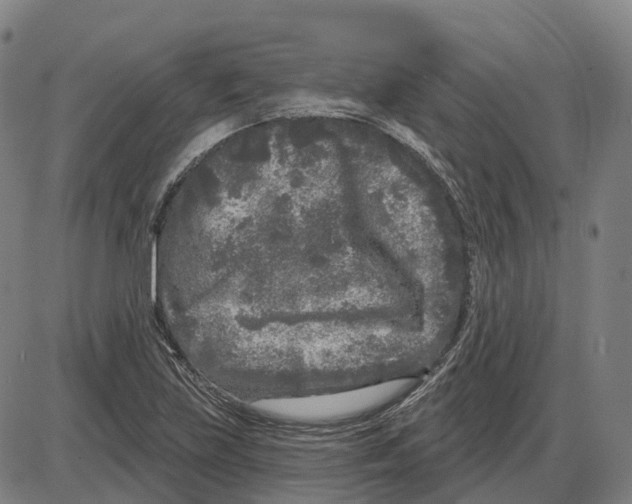 X0000083991219200703161614