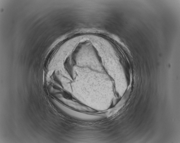 X0000083991221200703161614