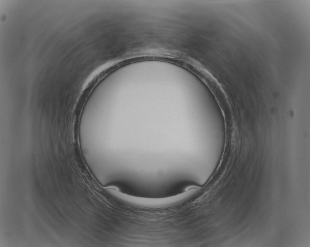 X0000083991222200703161614