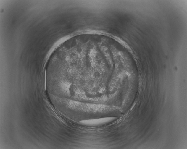 X0000083991223200703161614