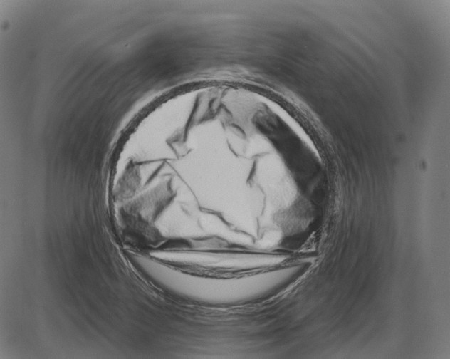 X0000083991224200703161614