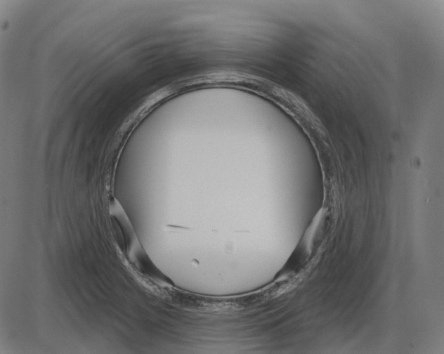 X0000083991225200703161614