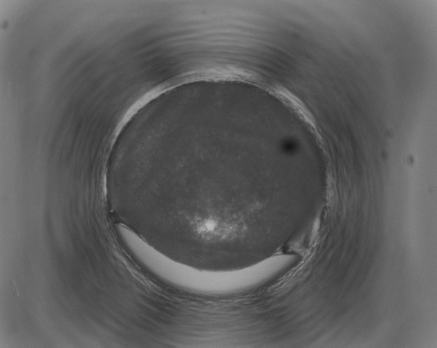 X0000083991226200703161614