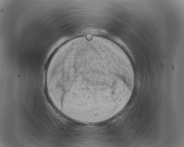 X0000083991227200703161614