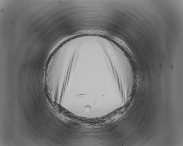 X0000083991228200703161614