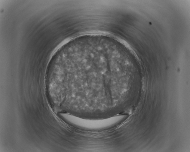 X0000083991229200703161614