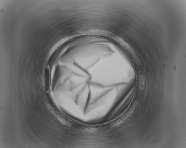 X0000083991230200703161614