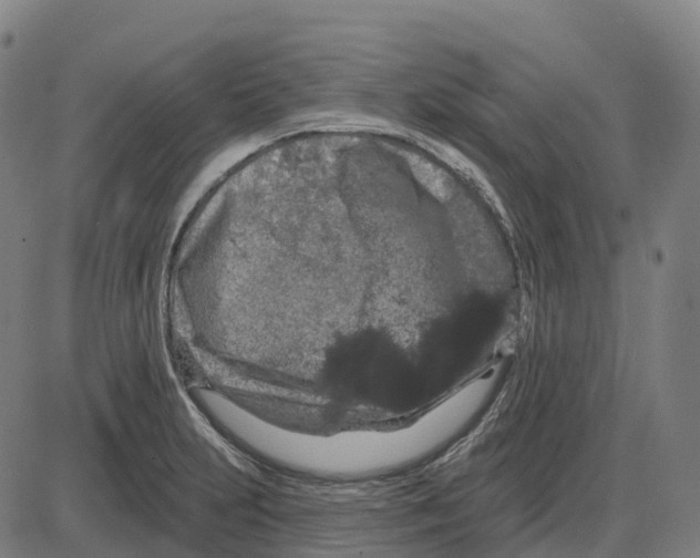 X0000083991231200703161614