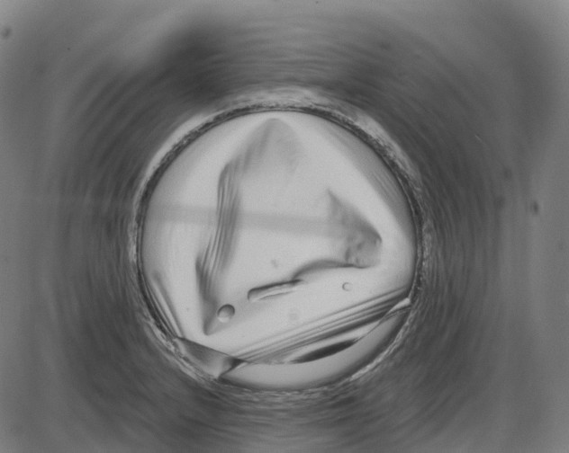 X0000083991232200703161614