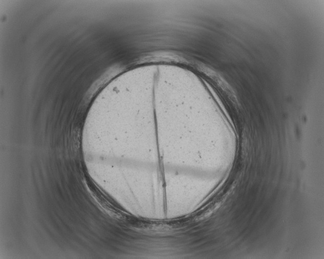 X0000083991233200703161614