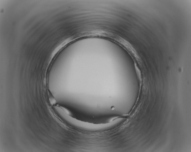 X0000083991234200703161614