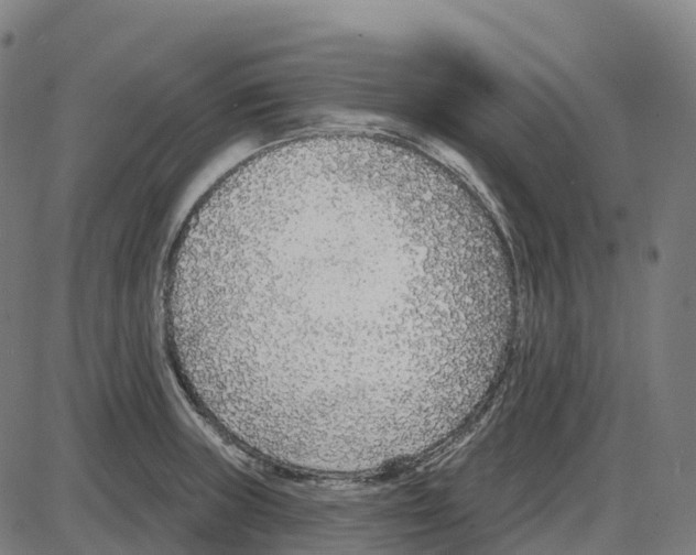 X0000083991235200703161614