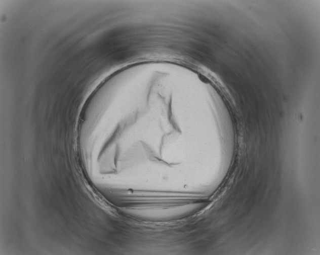 X0000083991236200703161614