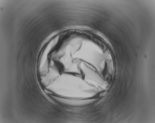 X0000083991237200703161614