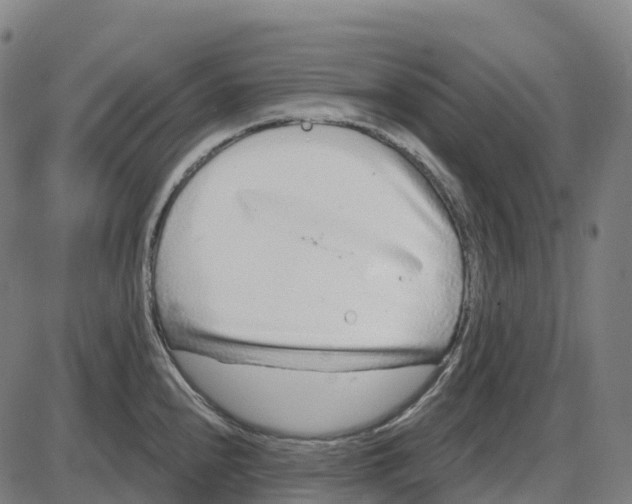 X0000083991240200703161614