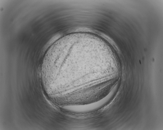 X0000083991241200703161614