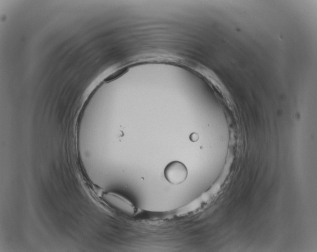 X0000083991242200703161614