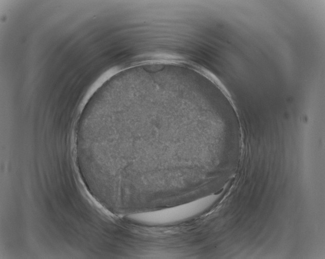 X0000083991243200703161614