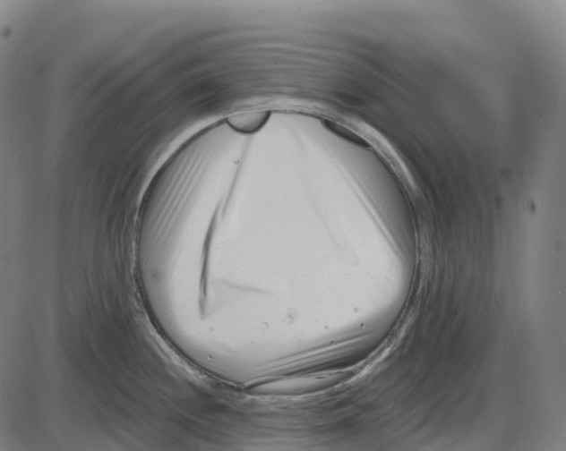 X0000083991244200703161614