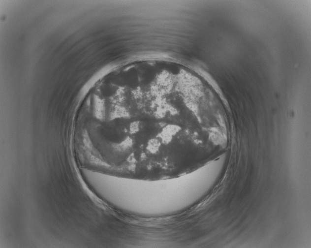 X0000083991245200703161614