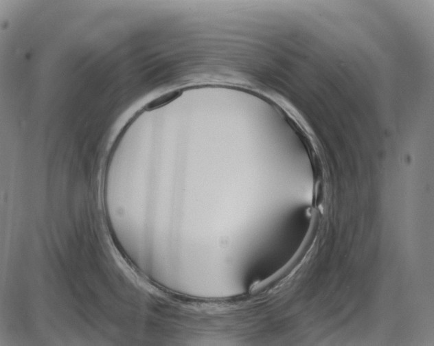 X0000083991246200703161614