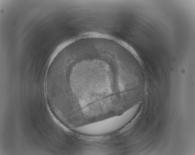 X0000083991247200703161615