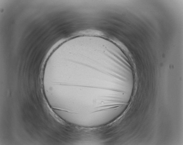 X0000083991248200703161615