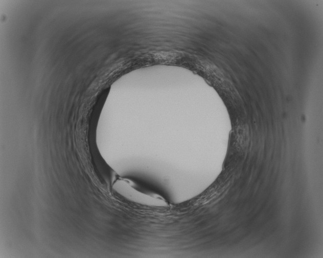 X0000083991249200703161614