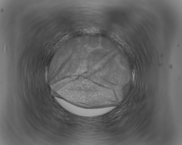 X0000083991251200703161614