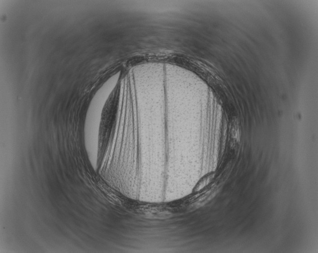 X0000083991252200703161614