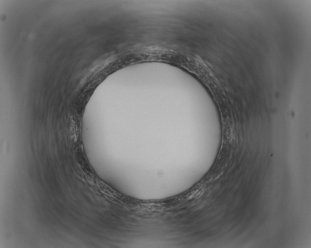 X0000083991253200703161614