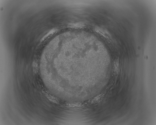 X0000083991254200703161614