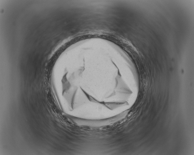 X0000083991256200703161614