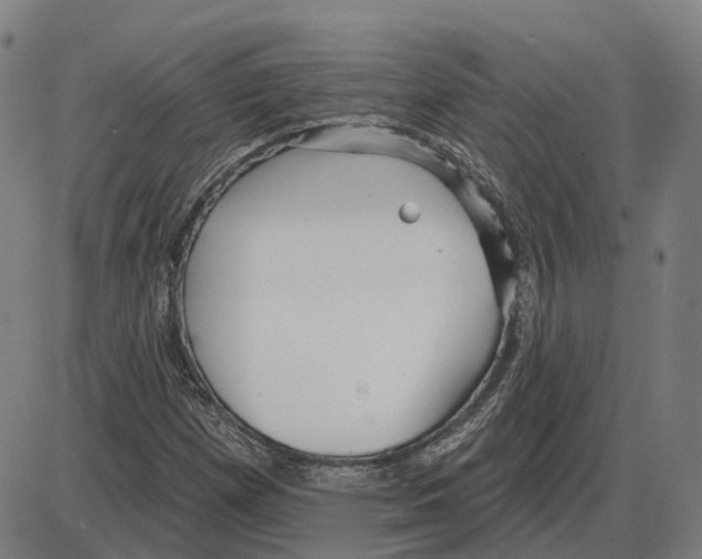 X0000083991257200703161614