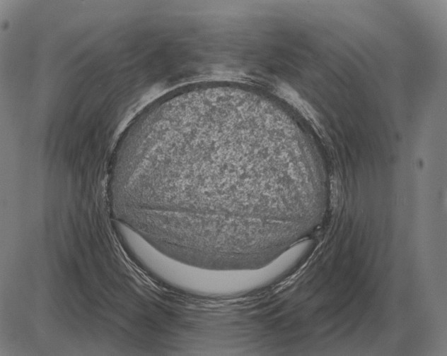 X0000083991260200703161614