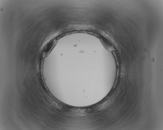 X0000083991261200703161614