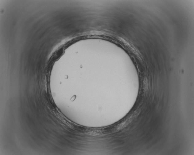 X0000083991262200703161614