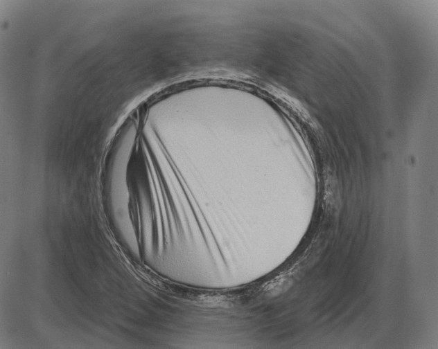 X0000083991264200703161613