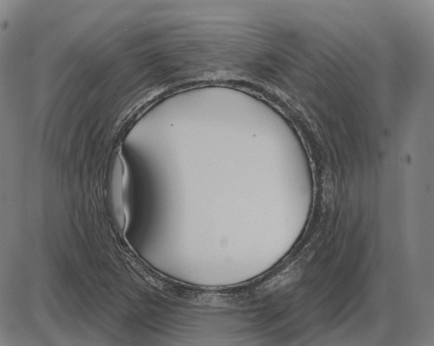 X0000083991265200703161613