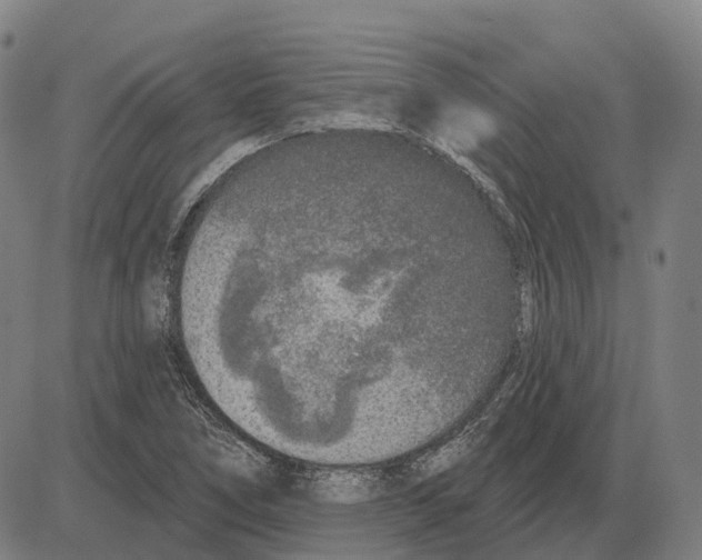 X0000083991266200703161613