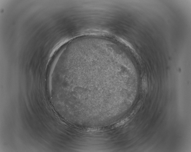 X0000083991267200703161613