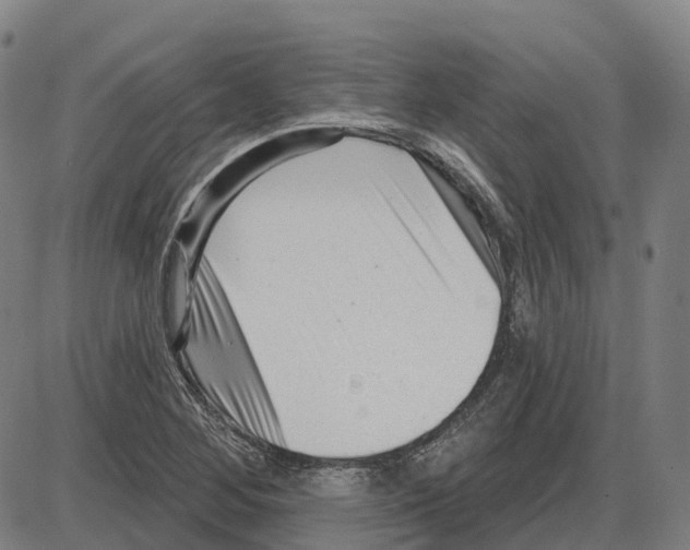 X0000083991268200703161613